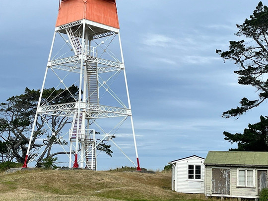 Farewell Spit Eco Tours-Collingwood必去景点