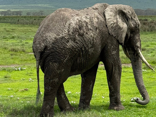 Unlimited Expeditions - The Soul Of Tanzania-阿鲁沙必去景点