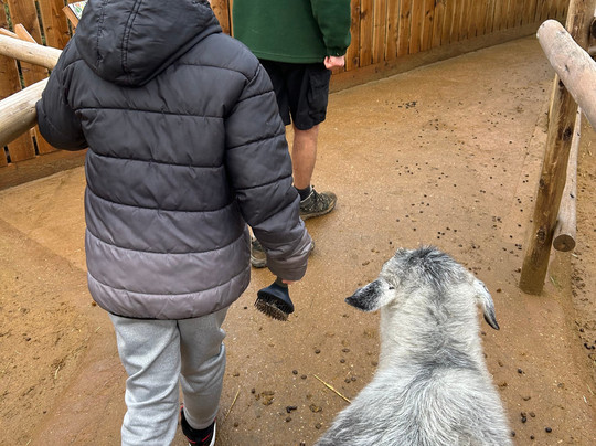 Colchester Zoo-科尔切斯特必去景点