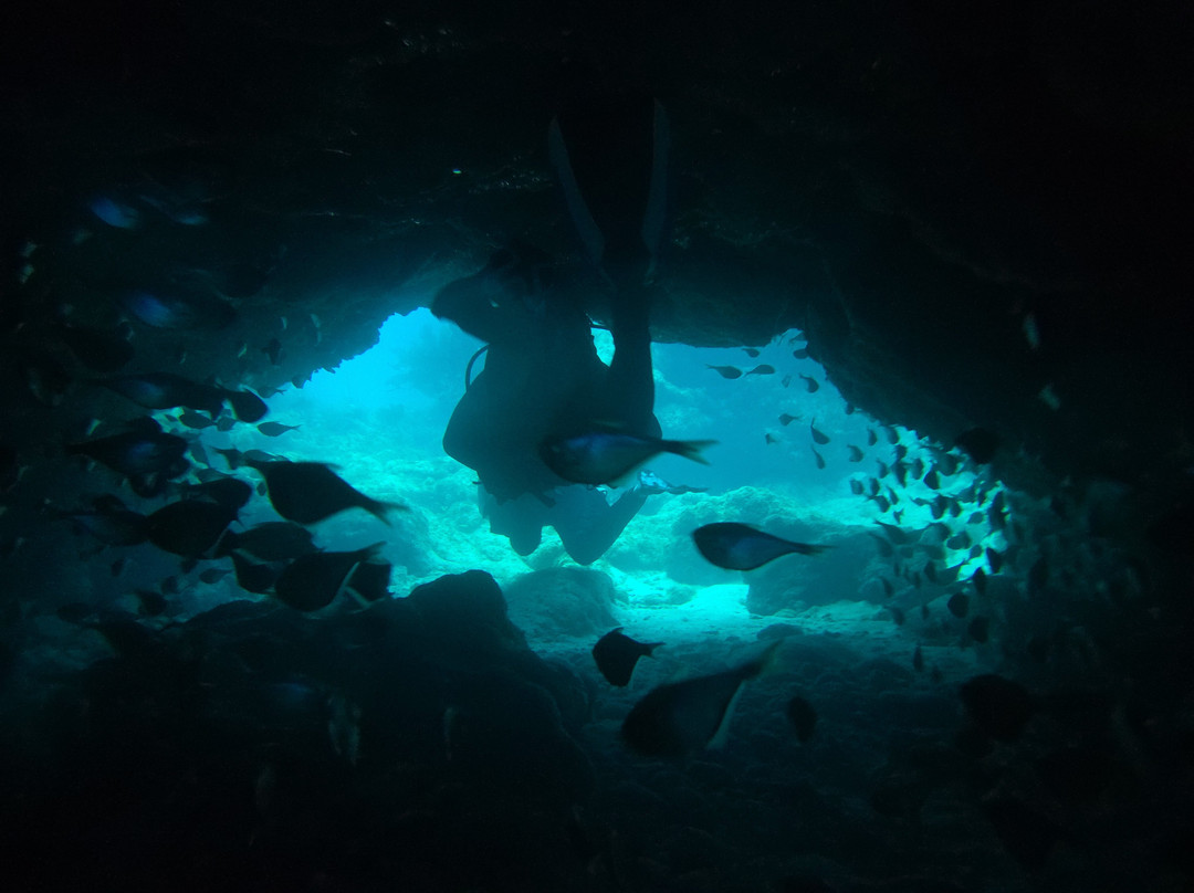 Rainbow Reef Dive Center-拉哥岛必去景点