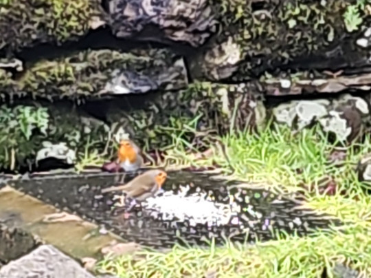 Bridge House Hotel主图