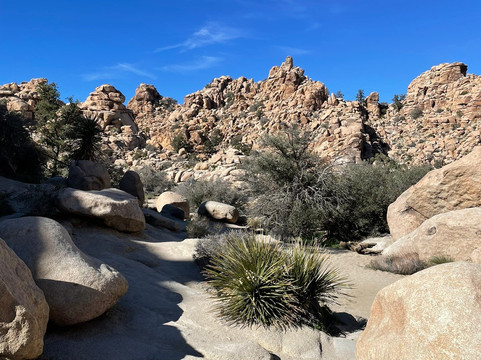 隐身谷-约书亚树国家公园必去景点