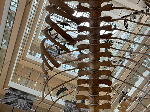 MUSE - Science Museum-特伦托必去景点