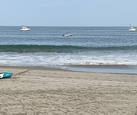 Restaurante Frutos del mar de cancas