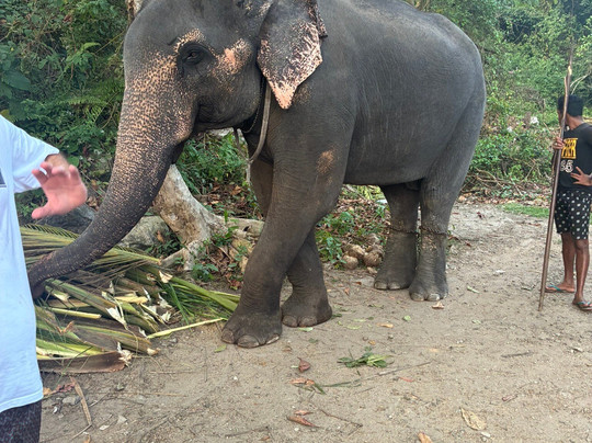 Sampath-Tours-希克杜沃必去景点