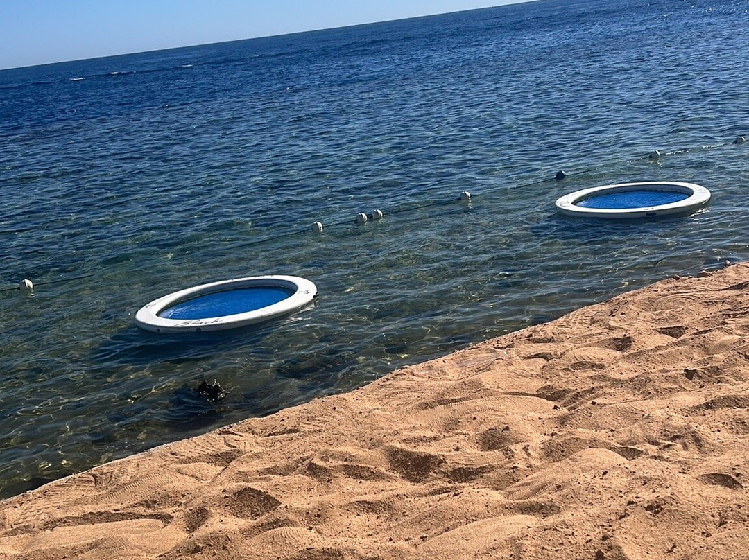 Allora Beach-沙姆沙伊赫必去景点
