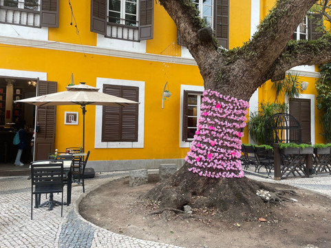 Calcada da Igreja de S. Lazaro-澳门必去景点