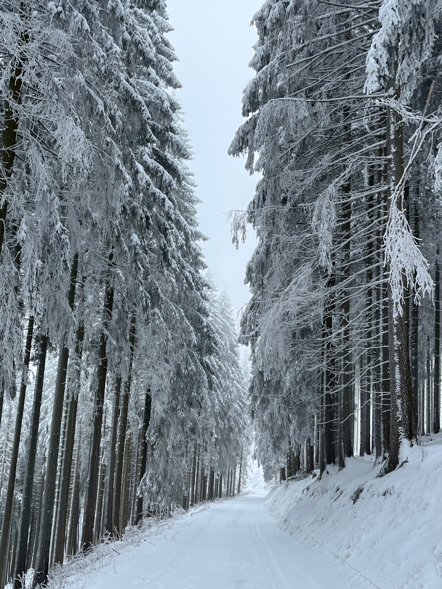 Hotel Waldhaus Ohlenbach-官方