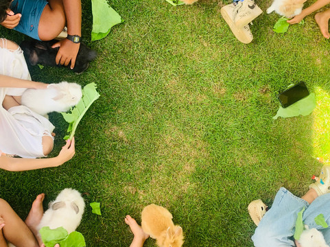 Valentim Iogurteria Artesanal-多明戈斯-马丁斯必去景点