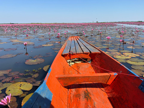 Charlie Connection Travel & Tour-暖武里必去景点