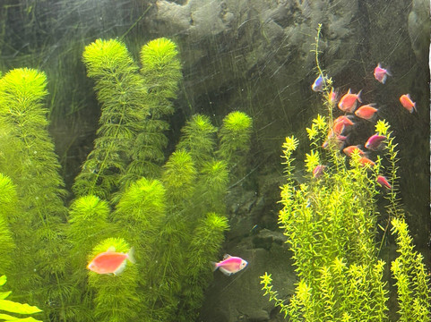 La Rinconada Ecoparque & Resort-圣克鲁斯省必去景点