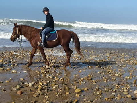 Desert Sans Frontieres-马拉喀什必去景点