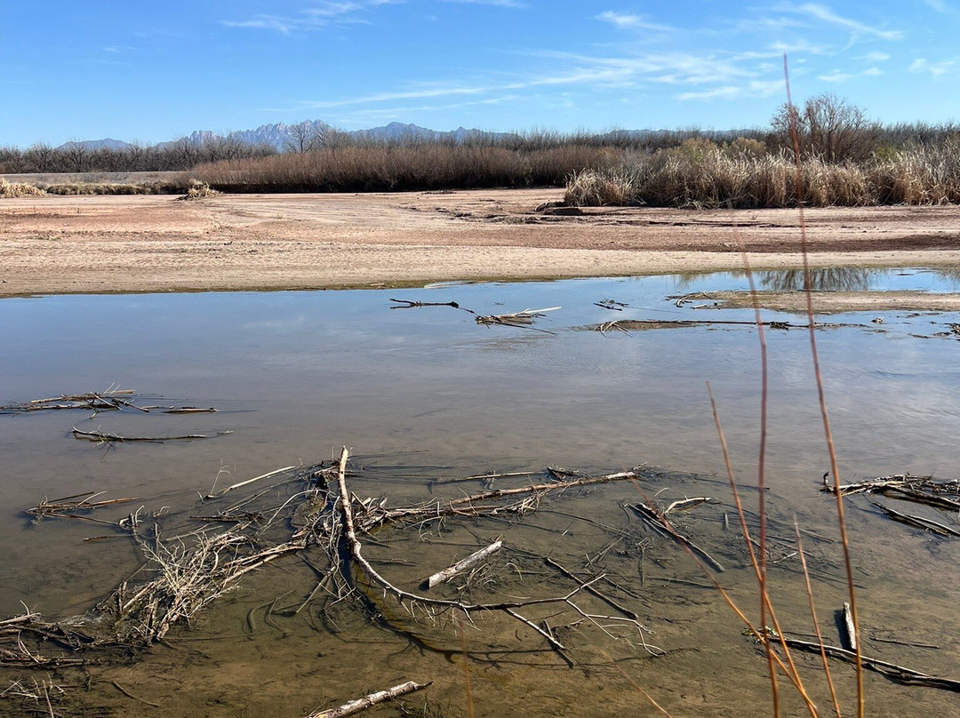 Mesilla Valley Bosque State Park-Mesilla必去景点