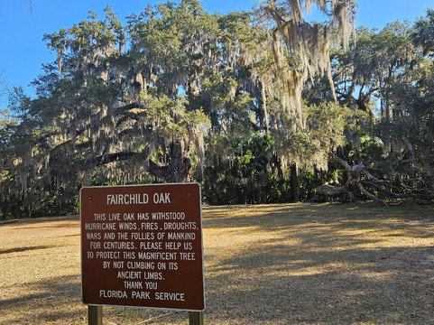 Bulow Creek State Park-奥蒙德海滩必去景点