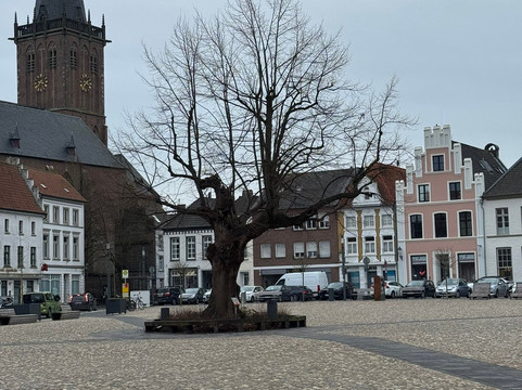 Kalkar Marketplace-Kalkar必去景点