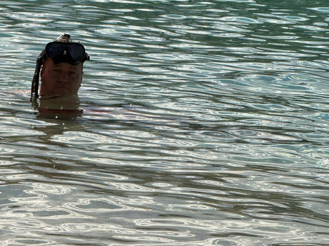 Secret Harbour-圣 托马斯必去景点