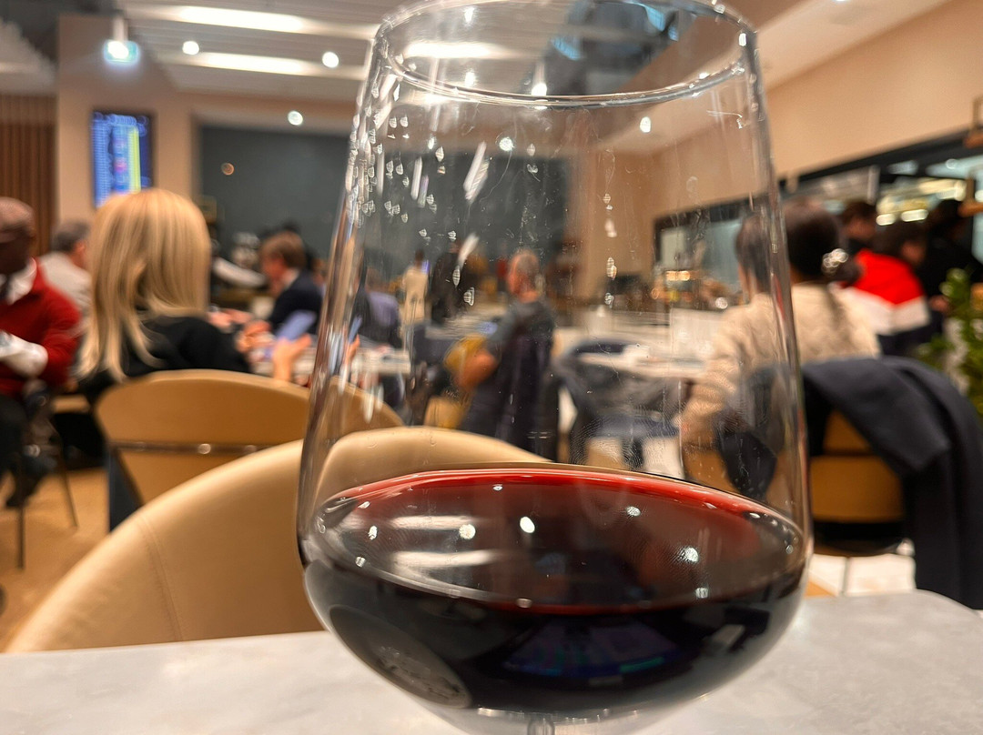 Plaza Premium Lounge (Schengen Area Departures Terminal 1)-菲乌米奇诺必去景点