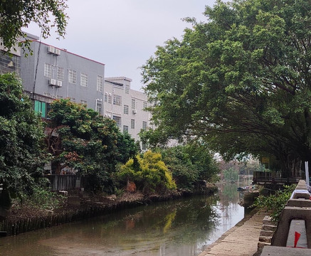 黄埔古港-广州市必去景点