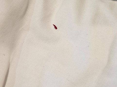 列王纹章蔻琴旅馆主图