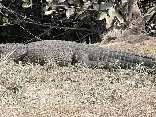 Loop Road-奥乔皮必去景点