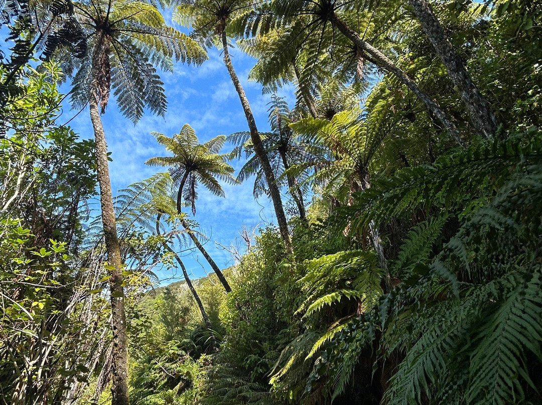 Marlborough Sounds Adventure Company - Day Tours-皮克顿必去景点