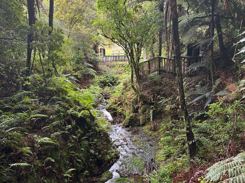 Nature & Nosh Tours-汉密尔顿必去景点