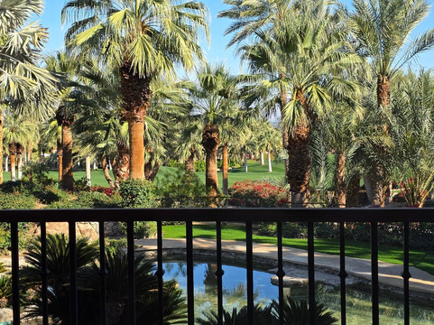 Sensei Porcupine Creek主图