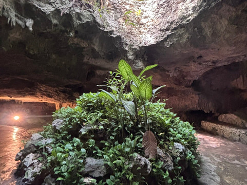 海洋观鲸鲨之旅-坎昆必去景点