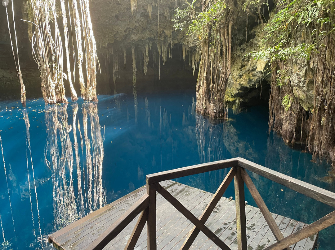 Experiencia Privada en Cenote Exclusivo-巴利亚多利德必去景点