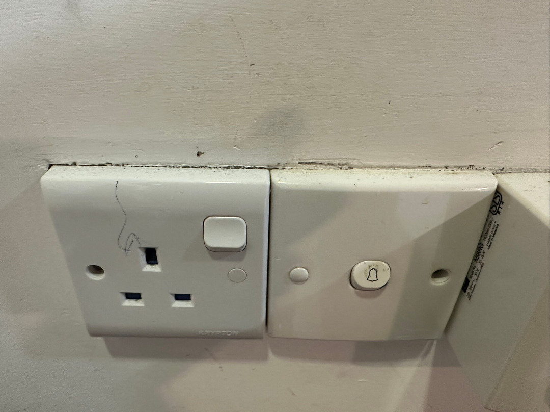 巨人的森林主图