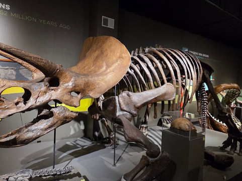 Buffalo Museum of Science-水牛城必去景点