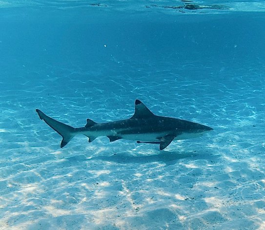 伊瑚鲁悦苑度假村-浴室