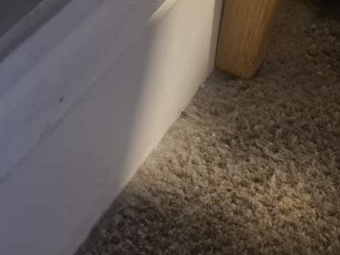 剑桥郡圣艾芙金狮酒店主图