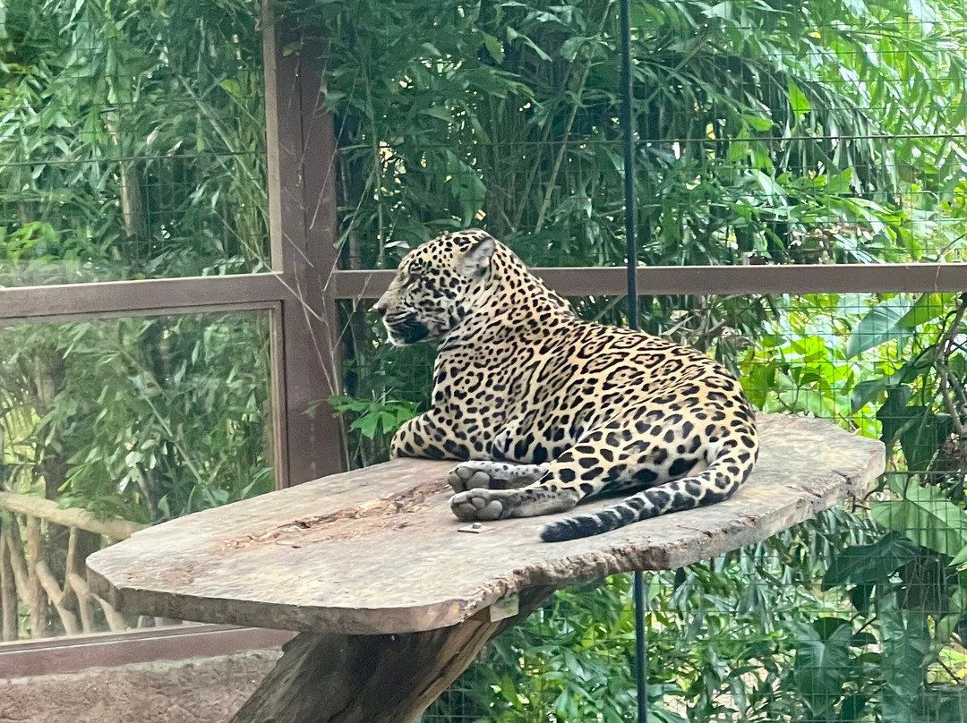 All Exclusive Tours Costa Rica-Playa Panama必去景点