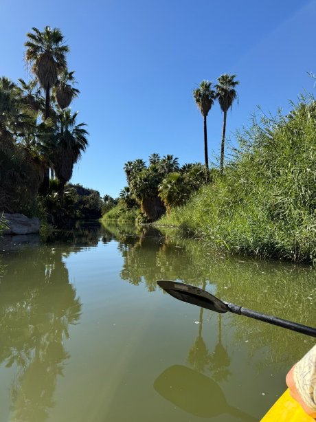 Ignacio Springs Bed & Breakfast-官方