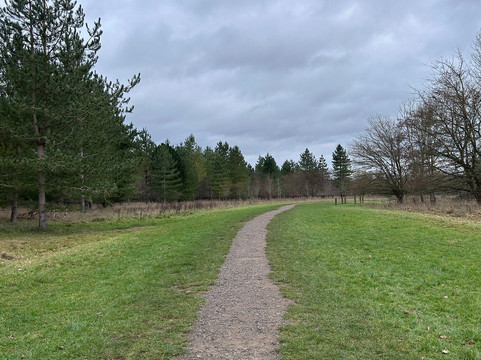 Nightingale Woods-斯温顿必去景点