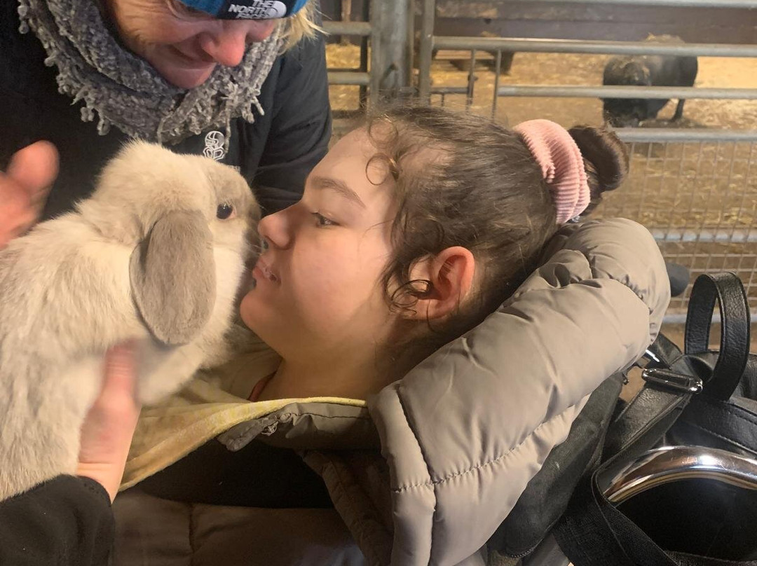 The Bucks Goat Centre-艾尔斯伯里必去景点