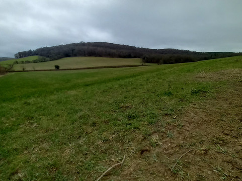 Saint Mary-Le-More-沃灵福德必去景点