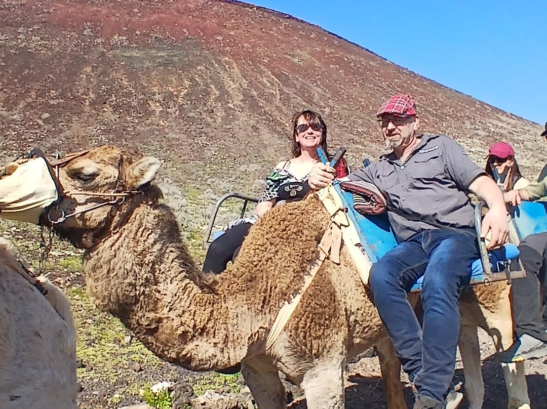Camel Rides Lajares-拉哈雷斯必去景点
