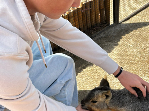 Wild Wonders, Inc.-Bonsall必去景点