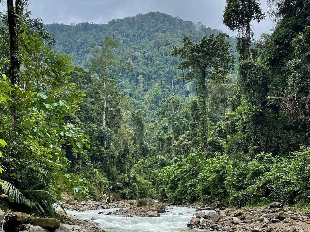 Bukit Lawang Jungle Treks-武吉拉旺必去景点