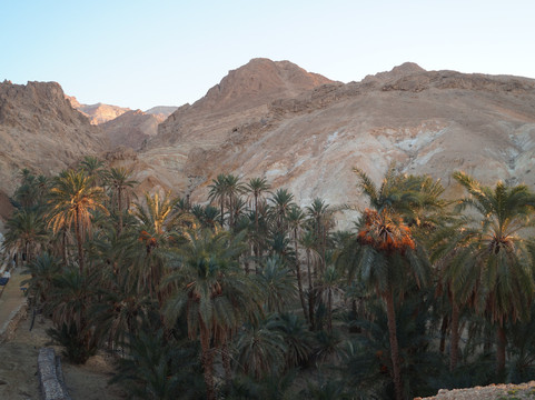 Chebika-Shabikah必去景点