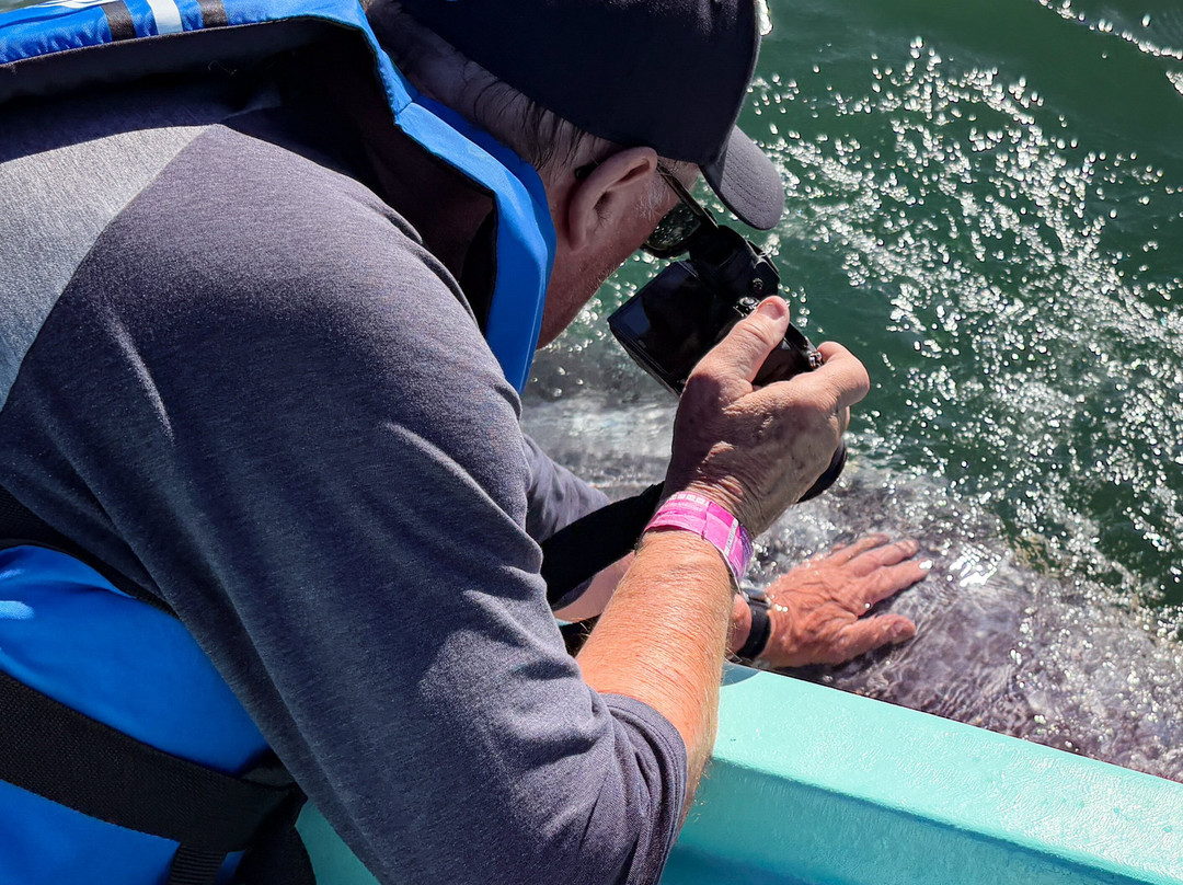 Baja Ecotours-San Ignacio必去景点