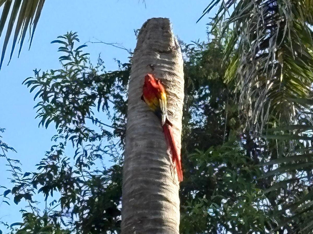 Buddha Brothers Vacation Planning-哥斯达黎加安东尼奥国家公园必去景点