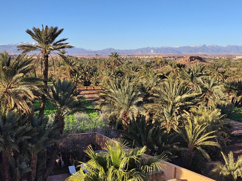 Desert Merzouga Tours-非斯必去景点