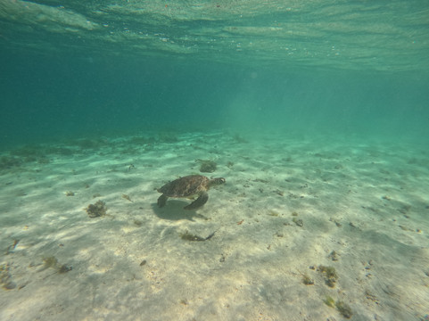 Ti Prens-Saint Francois必去景点