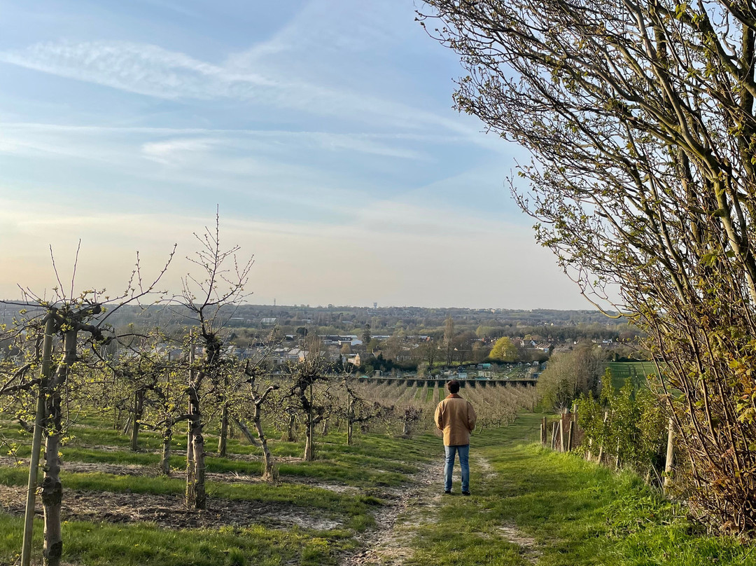 Canterbury Cathedral Panoramic Viewpoint-坎特伯雷必去景点