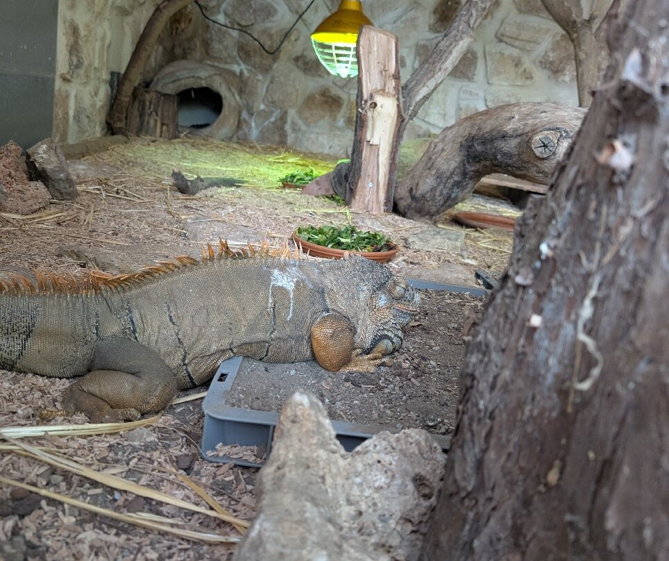 Selwo Marina-班纳玛德纳必去景点