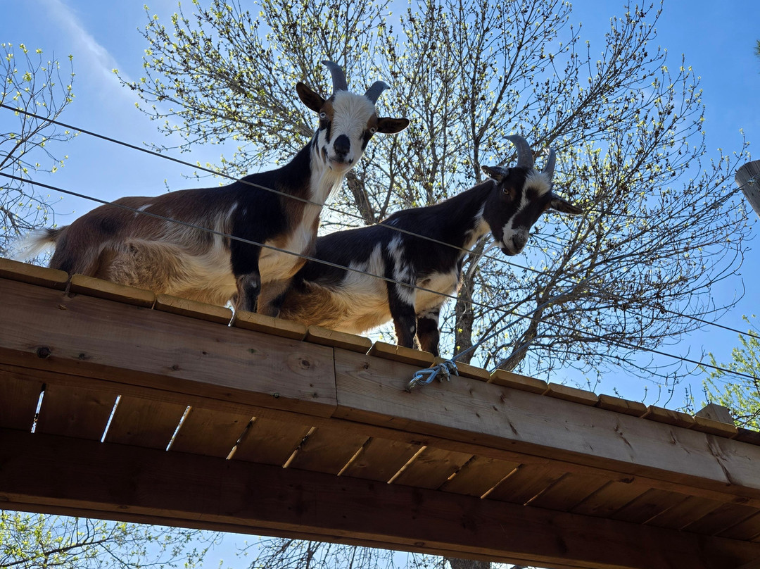 Windmill Garden Centre and Butterfly House-梅迪辛哈特必去景点