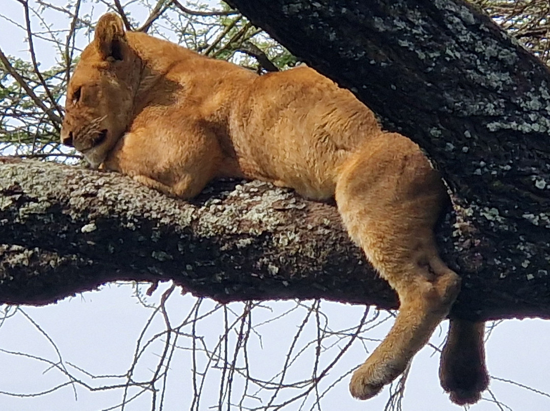 Calabash Adventures-阿鲁沙必去景点